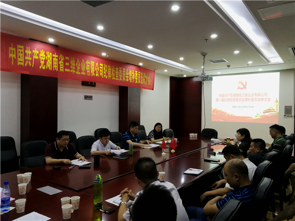 三维企业召开纪律查抄委员会补充委员选举大会